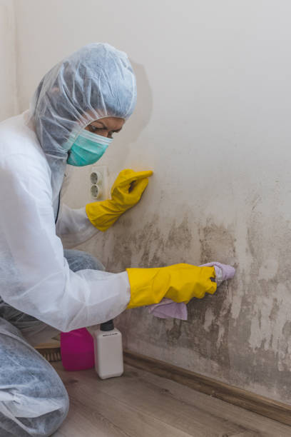 Best Air Quality Testing for Mold Spores  in Hilliard, OH