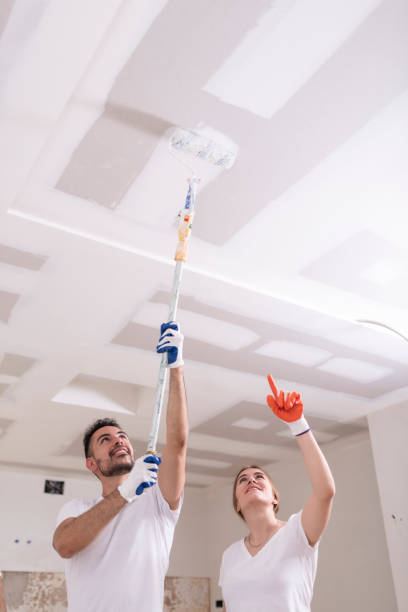 Best Mold Removal for HVAC Installations  in Hilliard, OH