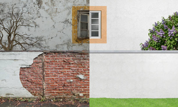 Best Environmental Consulting for Mold Prevention  in Hilliard, OH